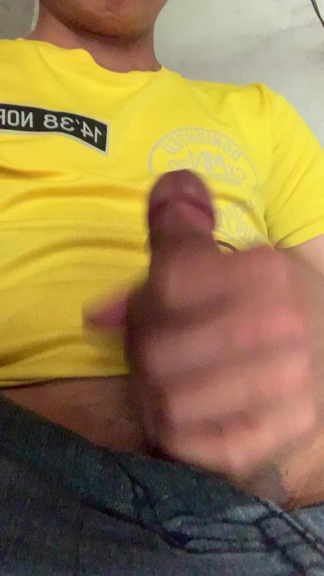 Chim bé 4