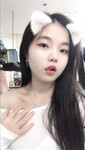 Bé mèo ad  xinh xắn của Học Sinh Ngoan đáng iu quá chừng 😍