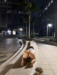 Con đĩ dâm mông to bím múp thích khoe thân public