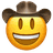 :cowboy: